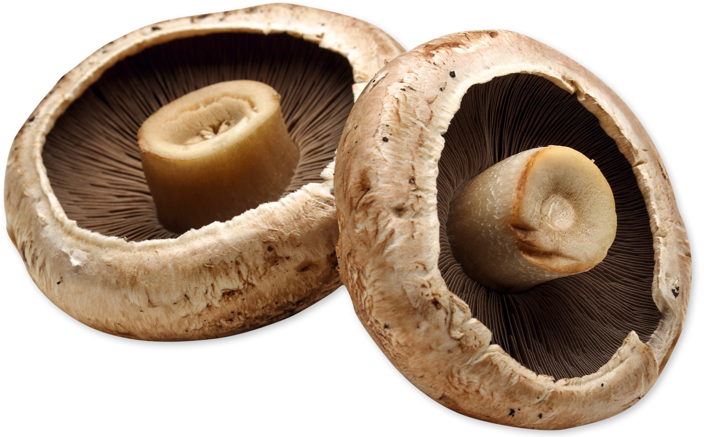 Portabella Mushrooms