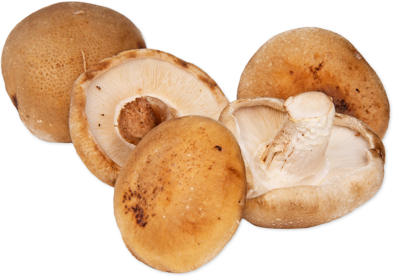 Shiitake Mushrooms