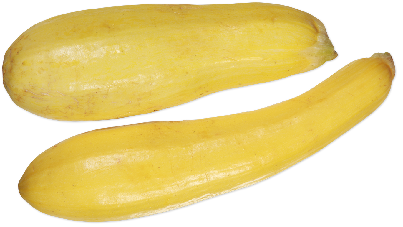 Yellow Squash