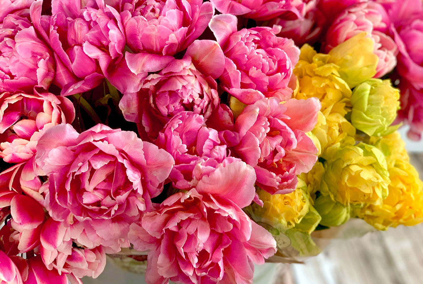 Peony Tulips Bunch