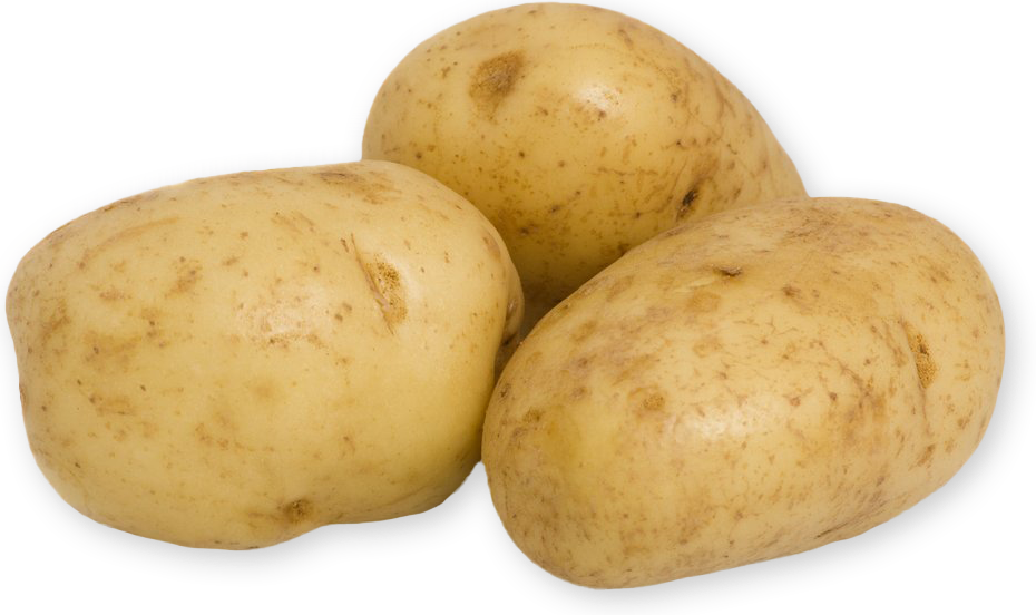 Organic Gold Potatoes