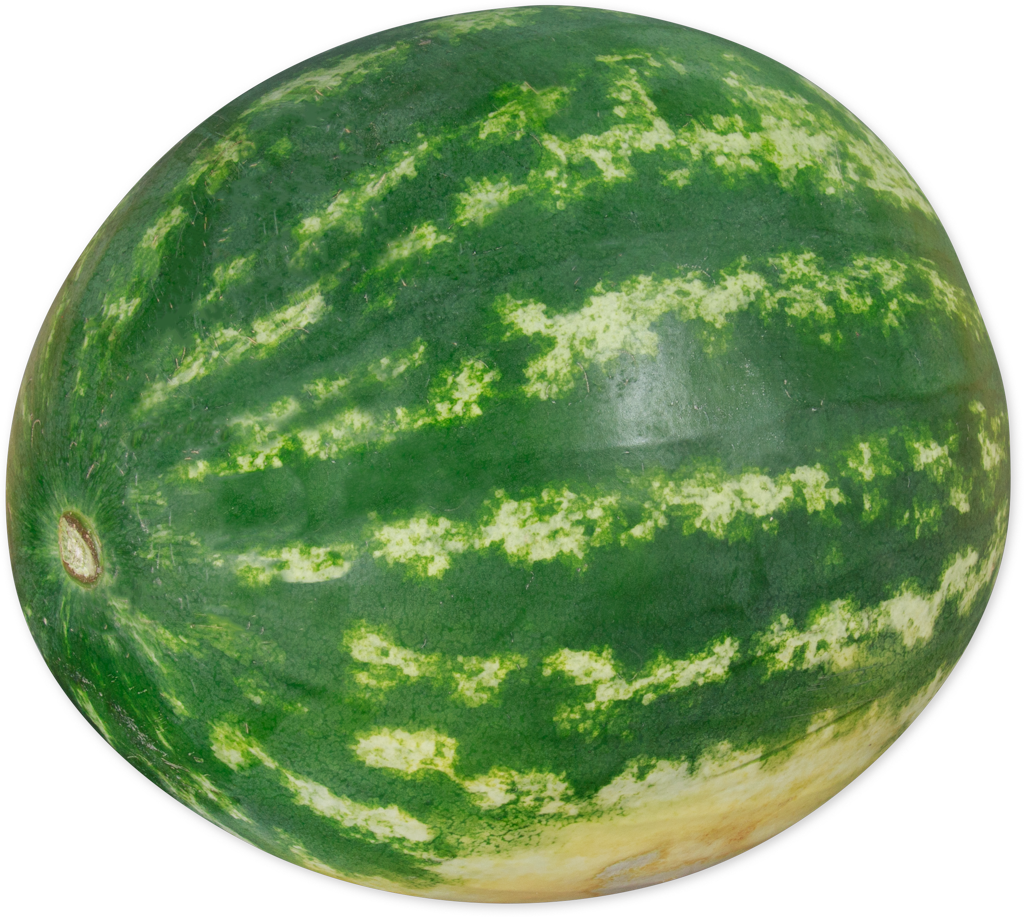 Seedless Watermelon