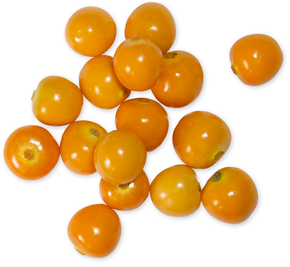 Cape Gooseberries