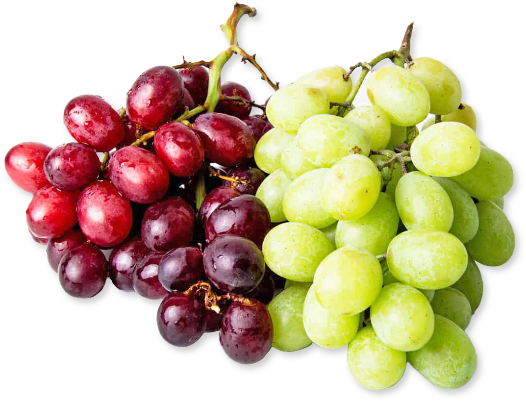 Red and Green Grapes Duo