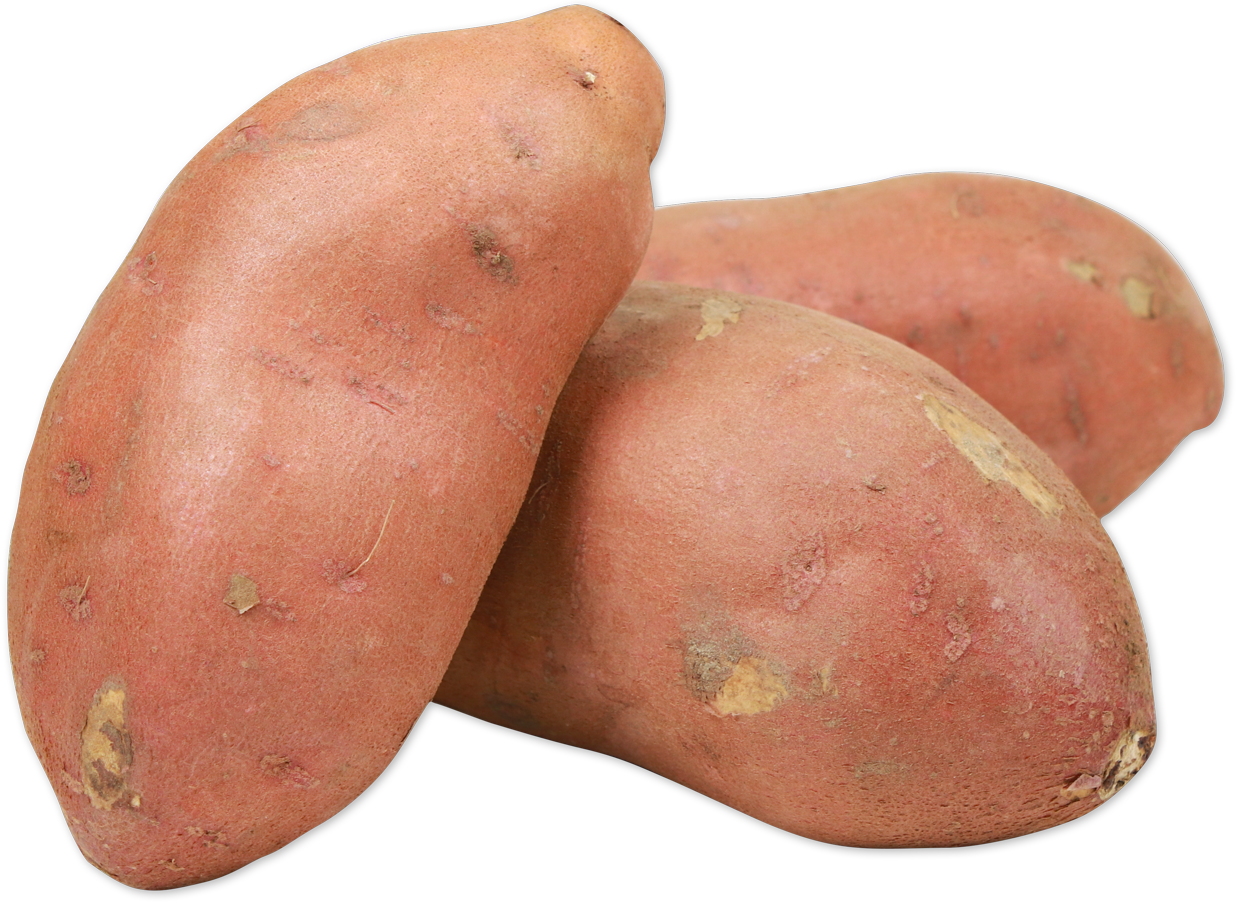 Sweet Potato