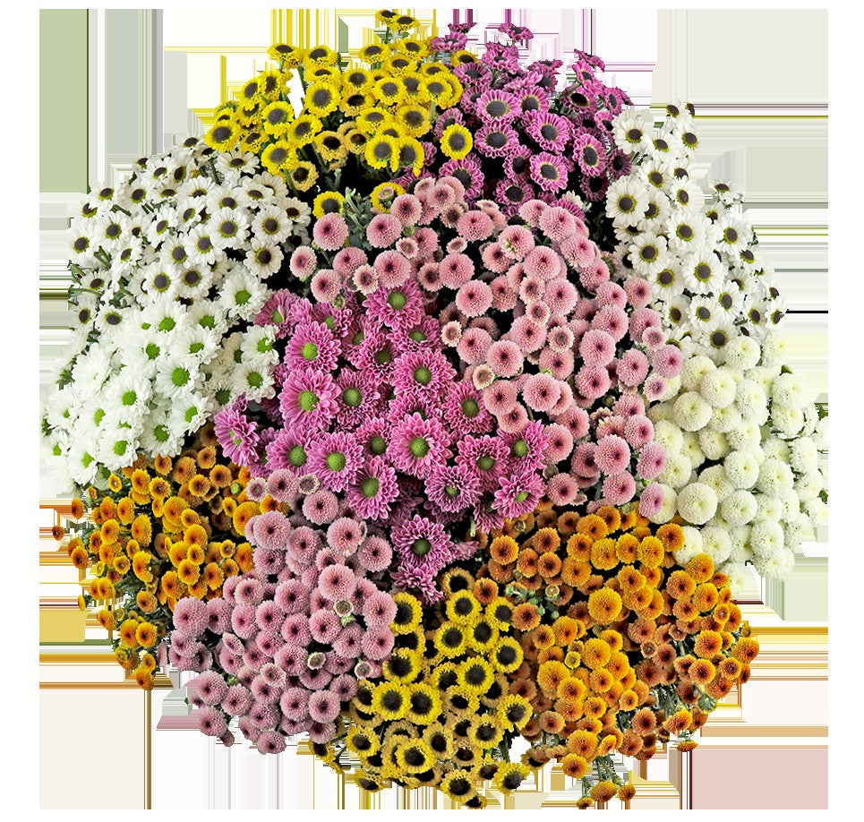 Dotty Micro Poms Bunch